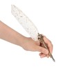 Feather Pen Set with 10 Interchangeable Nib Fire Lacquer Wax