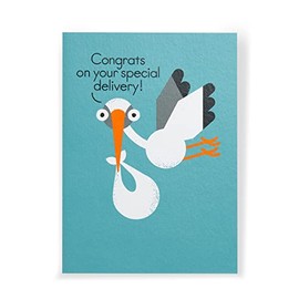 Kindred X David Olenick - Special Delivery - Baby Boy Card