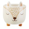 Sass & Belle Mini Woodland Fox Planter
