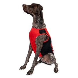 Insect Shield Pet Breathable Sleeveless Mesh Airflow Tank Top with Built in Bug and Tick Protection, Poppy, Large