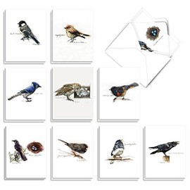 The Best Card Company - 20 Blank Notes with Envelopes - All Occasion Animal Assortment (10 Designs, 2 Each) - Birds Watching AM3199OCB-B2x10