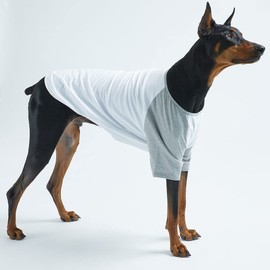 Lucky Petter Dog Cotton Shirts for Small and Large Dogs Raglan T-shirts soft breathable Dog Shirt pet clothes (4X-Large, White/Gray)