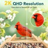 PeckCam® Bird Feeder with Camera - 4MP 2K Live AI