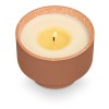 Illume Rhubarb & Honey Verde Ceramic Candle Scented Candle
