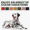 BRONZEDOG Rolled Leather Dog Collar with QR ID Tag Adjustable