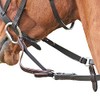 Shires Pony Size Flexi Reins: Black