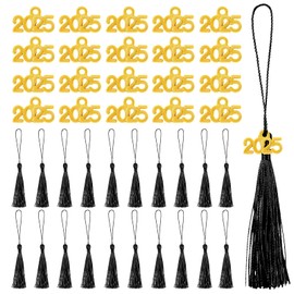 100 Pieces 2025 Pendant Tassel, Tassel Graduation Party Ceremonies 2025 Graduation Party Hat Decoration (Black)