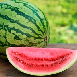 PAPAW'S GARDEN SUPPLY LLC. Helping The Next Generation Grow, Crimson Sweet Watermelon Seeds, Non-GMO, 1 Pack of 20 Seeds