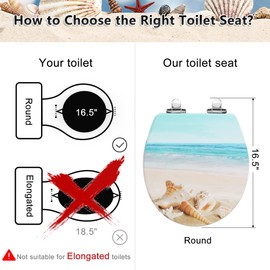 Angol Shiold Round Toilet Seat Molded Wood Toilet Seat with Quietly Close and Quick Release Hinges, Easy to Install also Easy to Clean (Round, Beach)