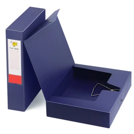 HUA JIE 2 Pack A4 Storage File Boxes Archives Case,65mm Spine,Box File Document Storage Box for Office School -Blue