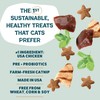 Shameless Pets Crunchy Cat Treats - Catnip Treats for Cats