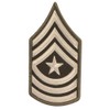 Army AGSU Sgt Major SGM E-9 Cloth Rank Female