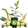 Leccino Olive Tree - Olea europaea by Wellspring Gardens -