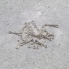 SING F LTD 100PCS 13.5mm & 100PCS 22mm Sea Fishing
