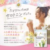 休息時間 GABA セロトニン セントジョーンズワート トリプトファン サプリメント 30日分 3袋セット