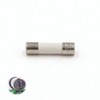 Ceramic Quick Fuse (F) 1.25A/250V AC 5x20mm (Box of 10