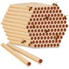Tinideya 250 Pcs Phragmite Reed Mason Bee Tubes Set Bee