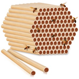 Tinideya 250 Pcs Phragmite Reed Mason Bee Tubes Set Bee Hotel Nest Box Pollinator Bee Box for Mason Bee Houses Natural Phragmite Bee Nest Bees Supplies Refill Your Mason Bee House Bee Hive