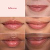 Bálsamo Labial Tintado Natural Burt Bees Hibiscus Unidades