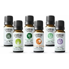 L'VANAH Naturals 100% Pure Essential Oil Aromatherapy Therapeutic Grade Natural & Organic (6 Pk)
