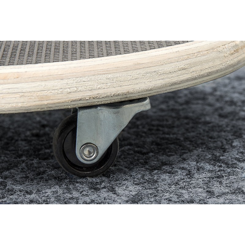 Transport Roller Ø 200 mm, 100 kg, Coated plywood, PP