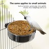 DVHEY 4 Pcs Small Bird Feeding Dish Cups,Parrot Food Bowl