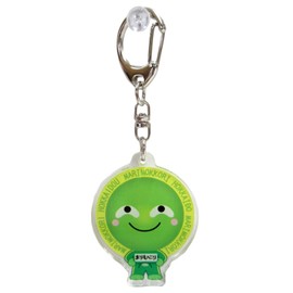 Marimokkori Acrylic Key Holder, 1.4 x 0.2 x 1.8 inches (3.5 x 0.5 x 4.5