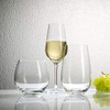 Villeroy&Boch Entree Champagne Flute, Crystal, Transparent
