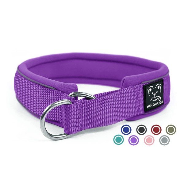 Soft Neoprene Padded Dog Collar (4 cm Wide), Reflective Dog
