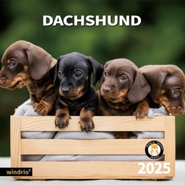 2024 2025 Wall Calendar, 18 Months July 2024 - December 2025, Wall Calendar Dachshund, 12" x 24" Opened,Full Page Months Thick & Sturdy Paper for Kids Teen Calendar Organizing & Planning