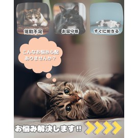 Modern neco 360° Kurukuru Cat Teaser, Eliminates Lack of Exercise, Answering Machine, Toy, Agatabi Ball (Pink)