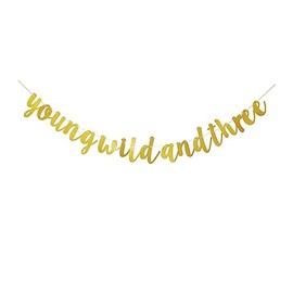 Young Wild and Three Banner, Gold Birthday Party Sign Bunting, Boy's Or Girl's 3rd Birthday Party Decorations