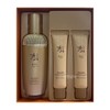 Sooryehan Ginseng Essence Advanced 100ml Special Special / 수려한 진생
