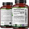 Zazzee USDA Organic Stinging Nettle Leaf 20:1 Extract, 120 Vegan