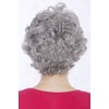 Wig Me Up – GFW513 51 Women's kurzhaarig White Grey Curly Wig