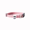 BUILT Pet Nightsafe Dog Collar