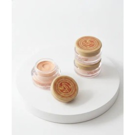 SKINFOOD Salmon dark circle concealer (3 colors) 1433131 No. 0 / SKINFOOD 연어 다크서클 컨실러(3 colors) 1433131 0호