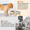 SPUNKYJUNKY Ceramic Elevated Dog Bowls 2 Pack - 5.1inch Raised