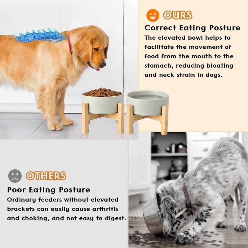 SPUNKYJUNKY Ceramic Elevated Dog Bowls 2 Pack - 5.1inch Raised