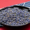 CoolCrafts Dried Lavender Flowers, Dry Lavender Buds Bulk Wholesale Fragrant
