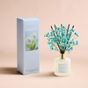COCORRÍNA Reed Diffuser - Wild Mint & Eucalyptus 6.7 Fl.oz