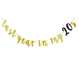 Last Year In My 20S Banner -29th Birthday Decorations 29 Birthday Party sign