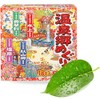 Hot spring travel bath salt 30g 18 packs / 온천기행