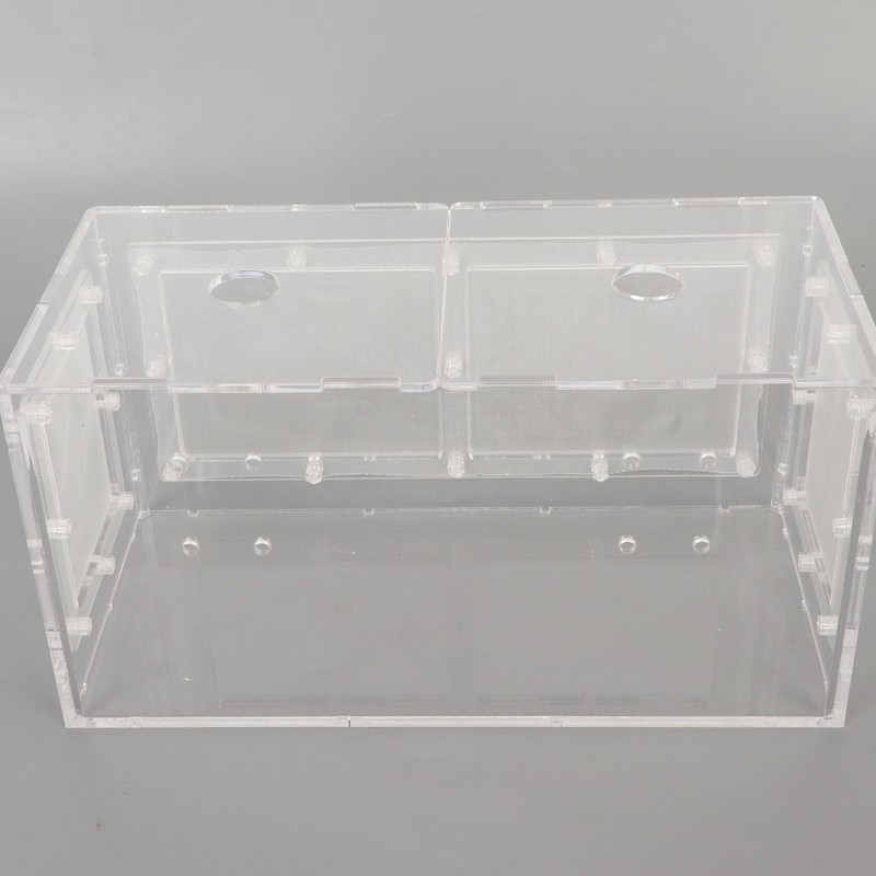 Fish Breeding Isolation Box Transparent Mesh Side Fish Tank Incubator