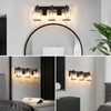 Haolaike 3 Lights Crystal Bathroom Vanity Light Modern Black Bathroom
