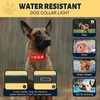 TOPOTO Light Up Dog Collars Adjustable & Rechargeable LED Dog