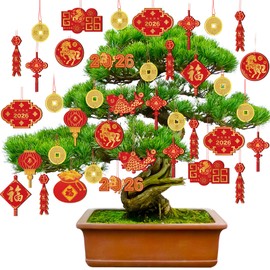 Patelai 40 Pieces Happy Chinese New Year Decorations 2026 Hanging Knot Pendant Lantern Copper Coin Koi Chinese Luna New Year Decorations Horse Ornaments for Spring Home Tree Party Supply