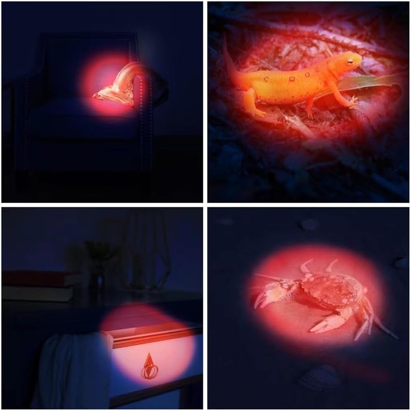 RaySoar 6 Pack Ultra Bright Red LED Keychain Flashlight, Mini