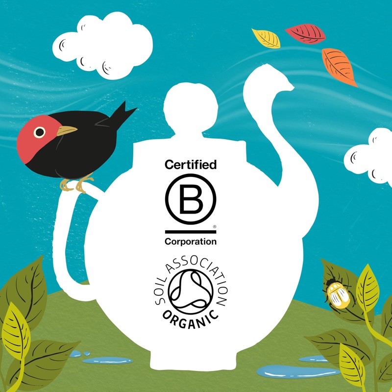 Clipper Tea, Organic Fairtrade Everyday, Organic, USDA Non-GMO, Fair Trade,