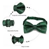 Alizeal Mens Gradient Paisley Bow Tie Pre Tied Pocket Square